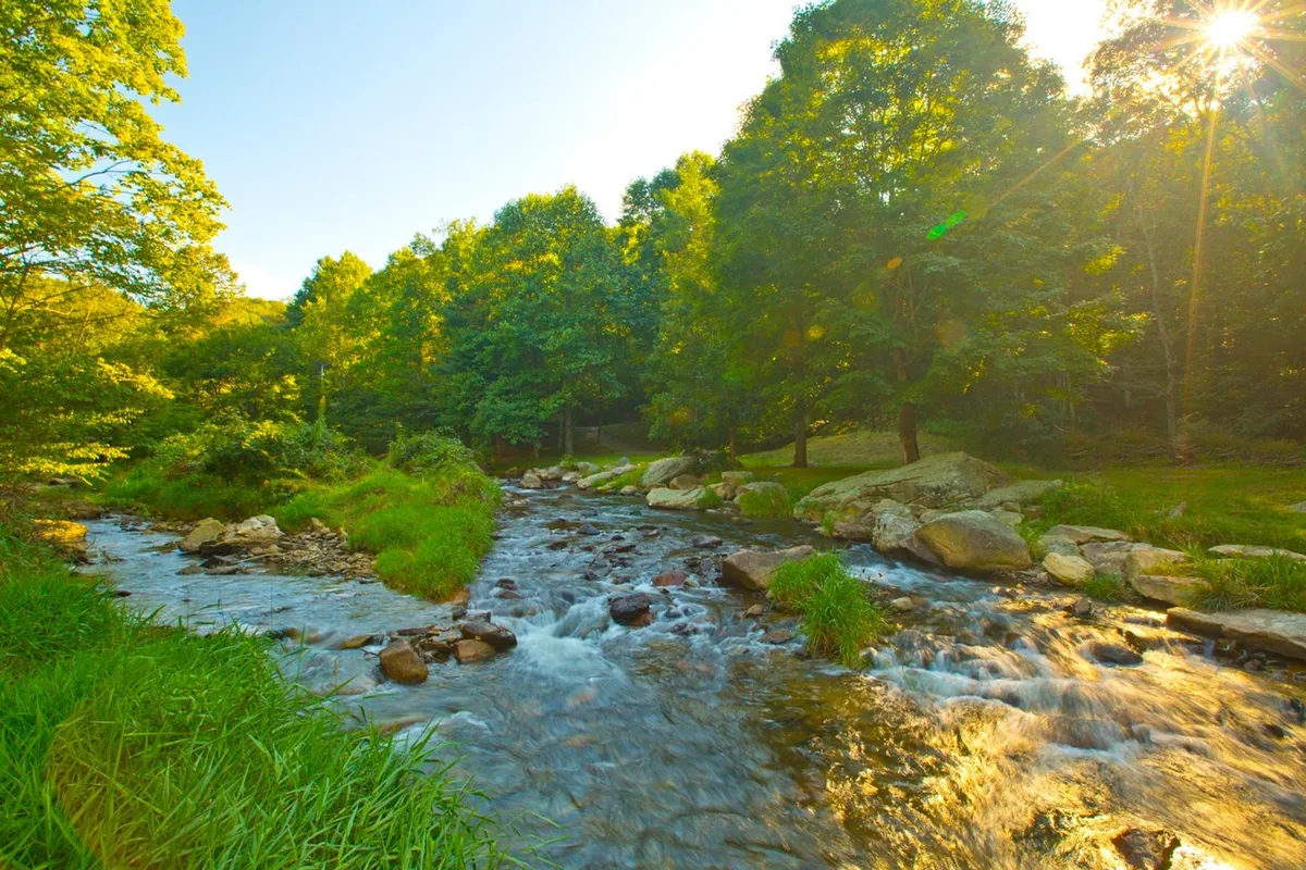 A scenic view of a flowing river bordered by lush green trees and smooth rocks, with sunlight glinting through the foliage. The peaceful riverside atmosphere is perfect for fishing, picnicking, and observing wildlife.