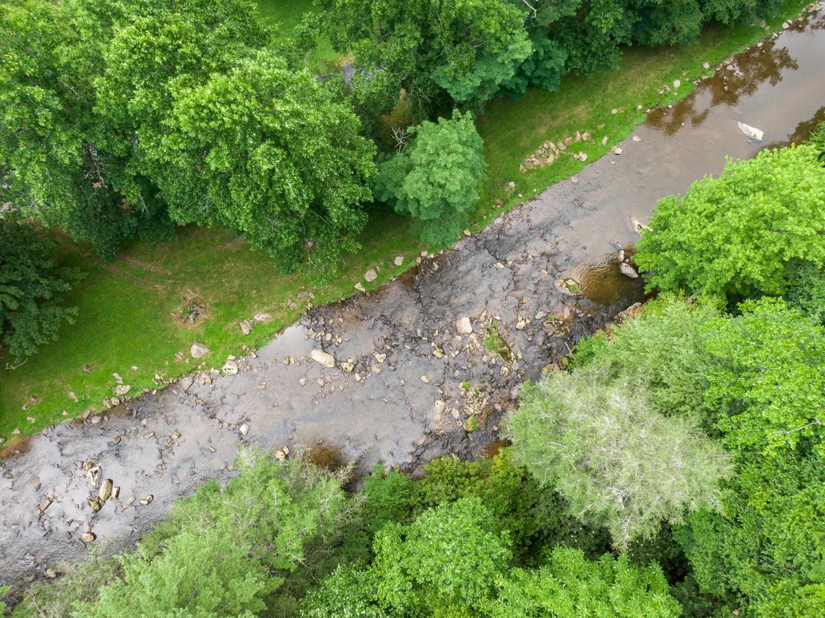 A peaceful scene of a meandering river bordered by green foliage and natural rock formations. The surroundings are quiet and serene, ideal for moments of reflection and connection with nature.