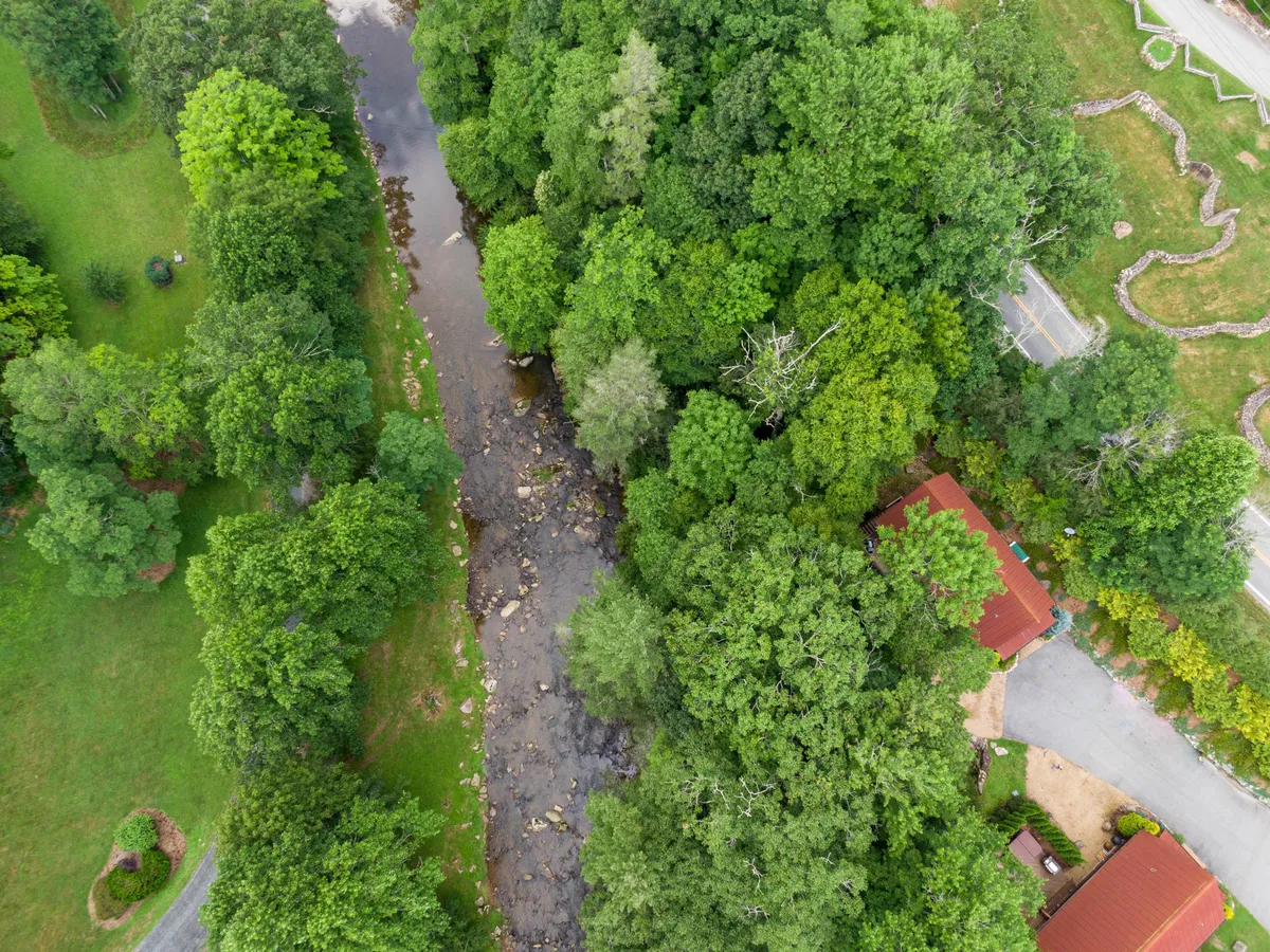 An exterior image that spotlights a peaceful stream weaving through dense greenery with a residential structure tucked in the background. The setting evokes quiet nature walks, wildlife observation, and exploring the outdoors in any season.