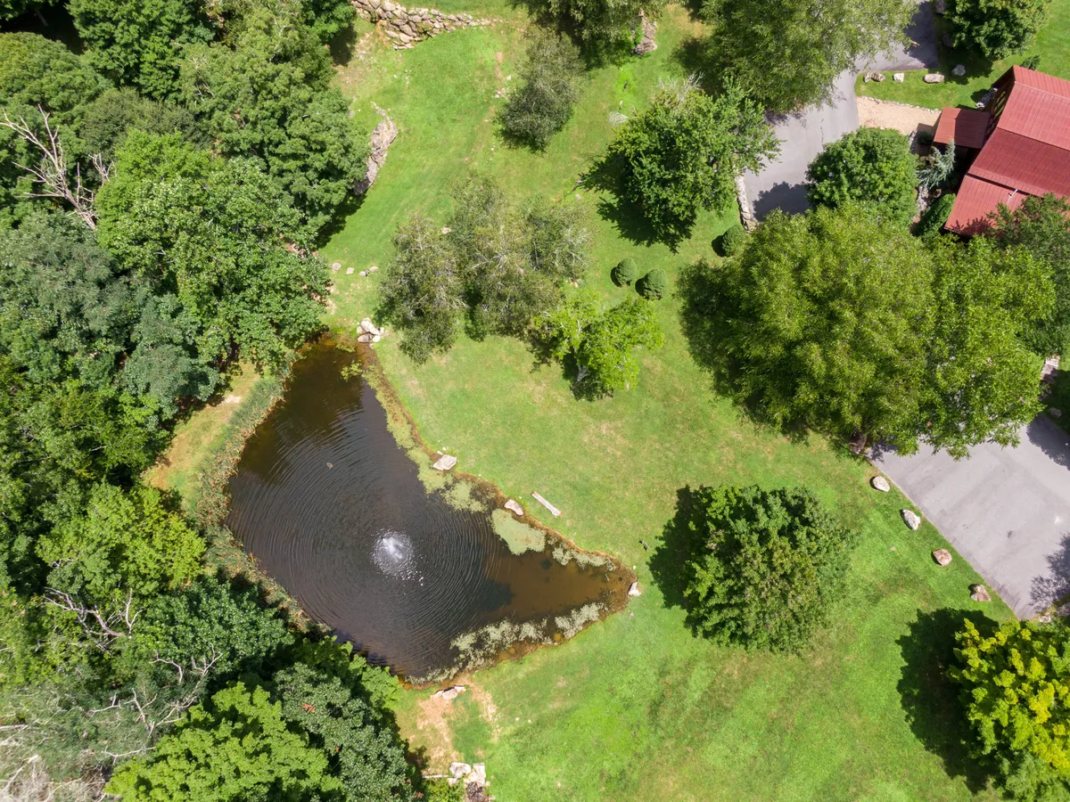 A peaceful pond surrounded by green trees and a pathway, with a red-roofed building in the background. The scene is ideal for fishing, picnicking, and wildlife observation in a serene natural setting.
